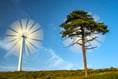 Our fragile earth revealed in exhibition