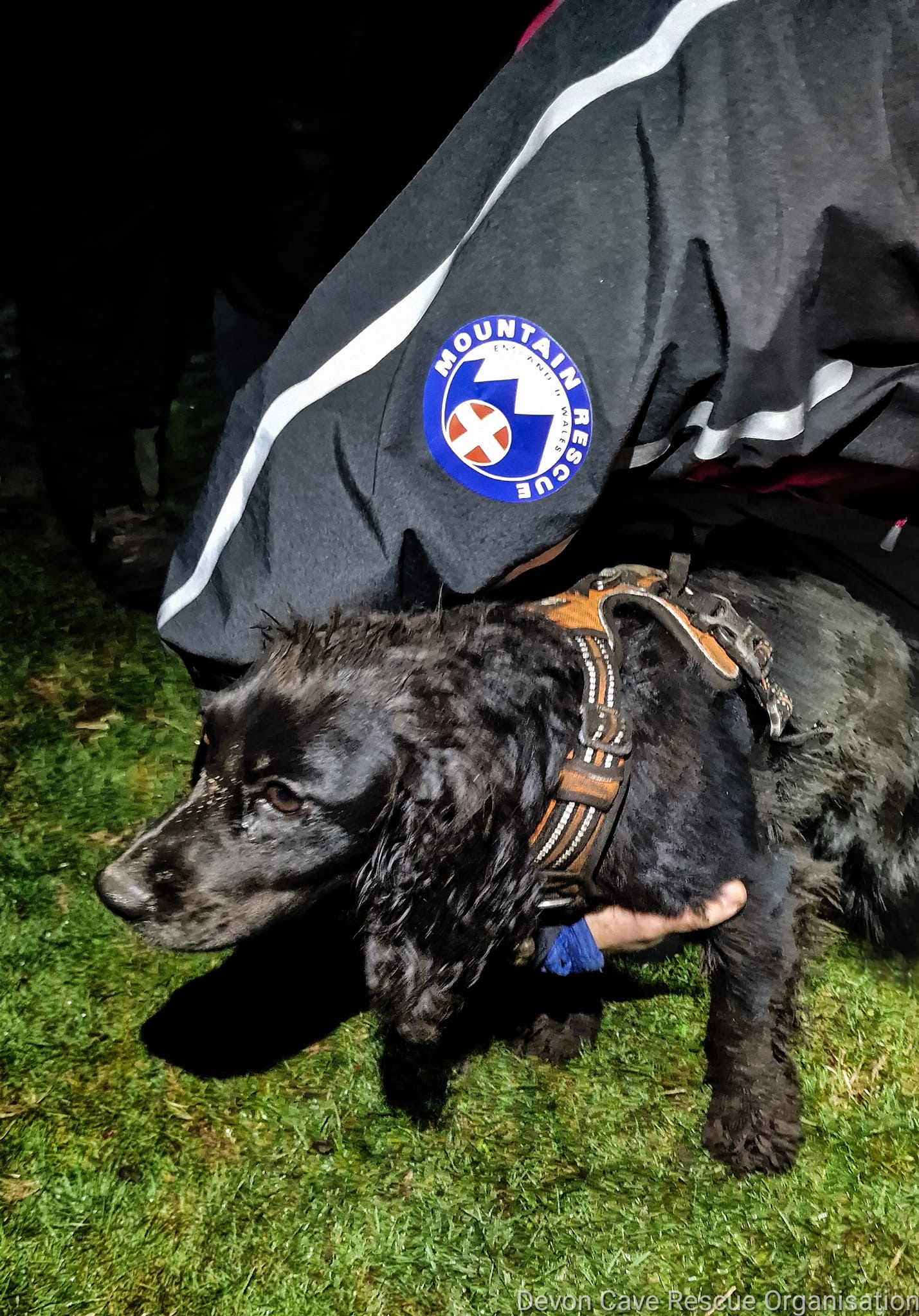 JESS the ‘beautiful dog’ was at the centre of a dramatic multi-agency rescue operation after she became trapped underground at Haytor. Pictures: Devon Cave Rescue Organisation and Buckfastleigh Fire Station (Oc 2022)