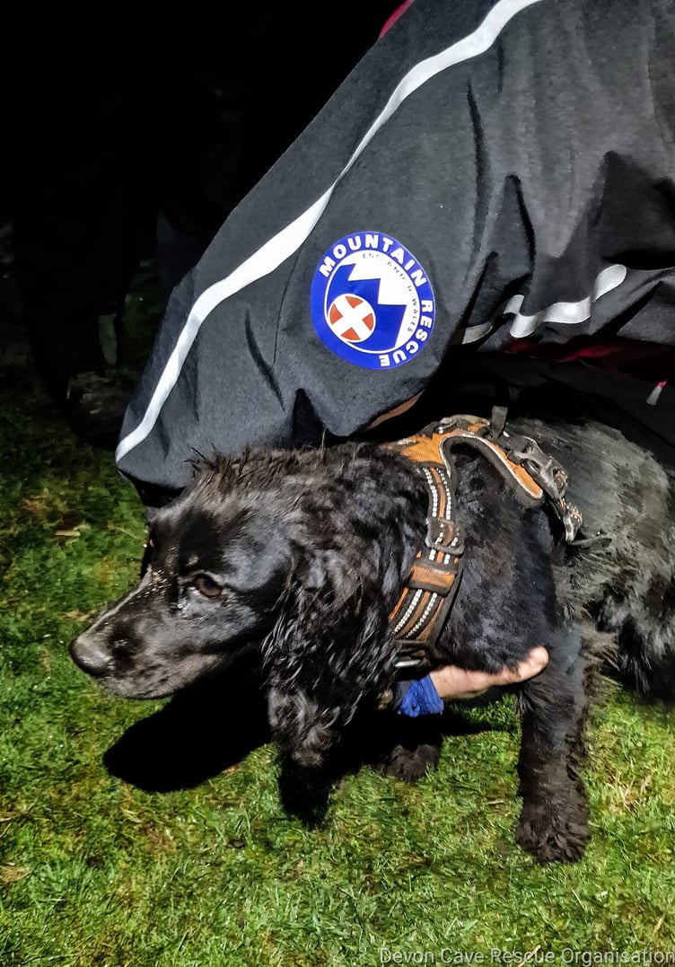 JESS the ‘beautiful dog’ was at the centre of a dramatic multi-agency rescue operation after she became trapped underground at Haytor. Pictures: Devon Cave Rescue Organisation and Buckfastleigh Fire Station (Oc 2022)