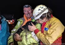 Jess the dog rescued from underground in dramatic Dartmoor operation