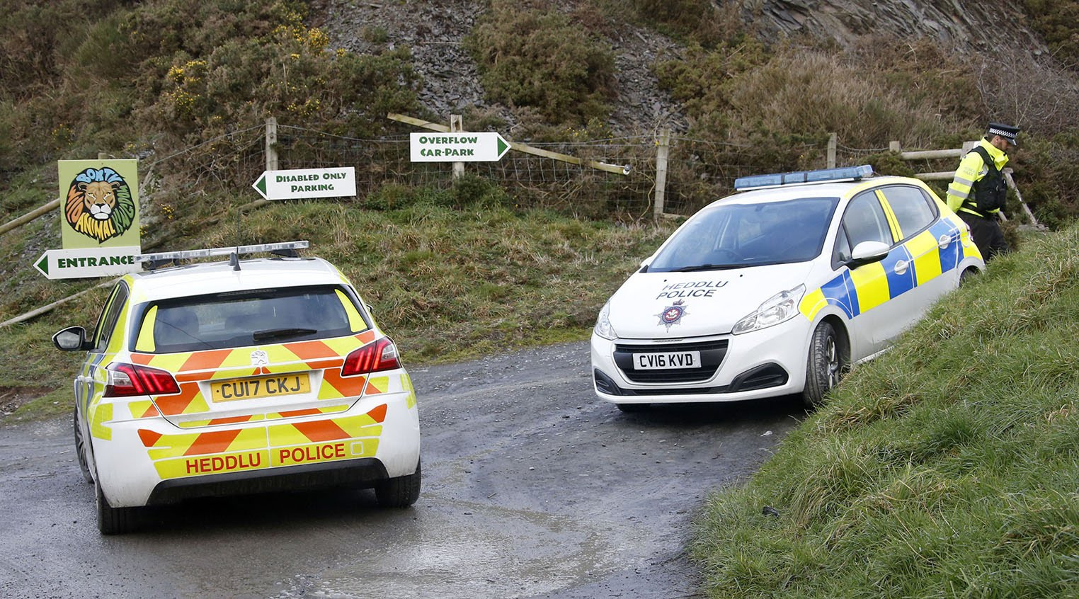 Lewis Stone was stabbed to death while walking in Borth in 2019