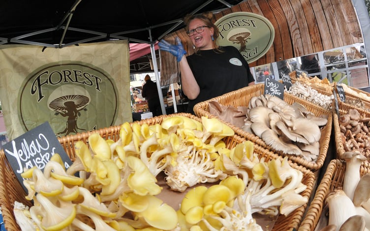 Photo: Steve Pope MDA151022A_SP001
Eat. Food and Drink Festival at Dawlish. Chelsea Teasdale from Forest Fungi