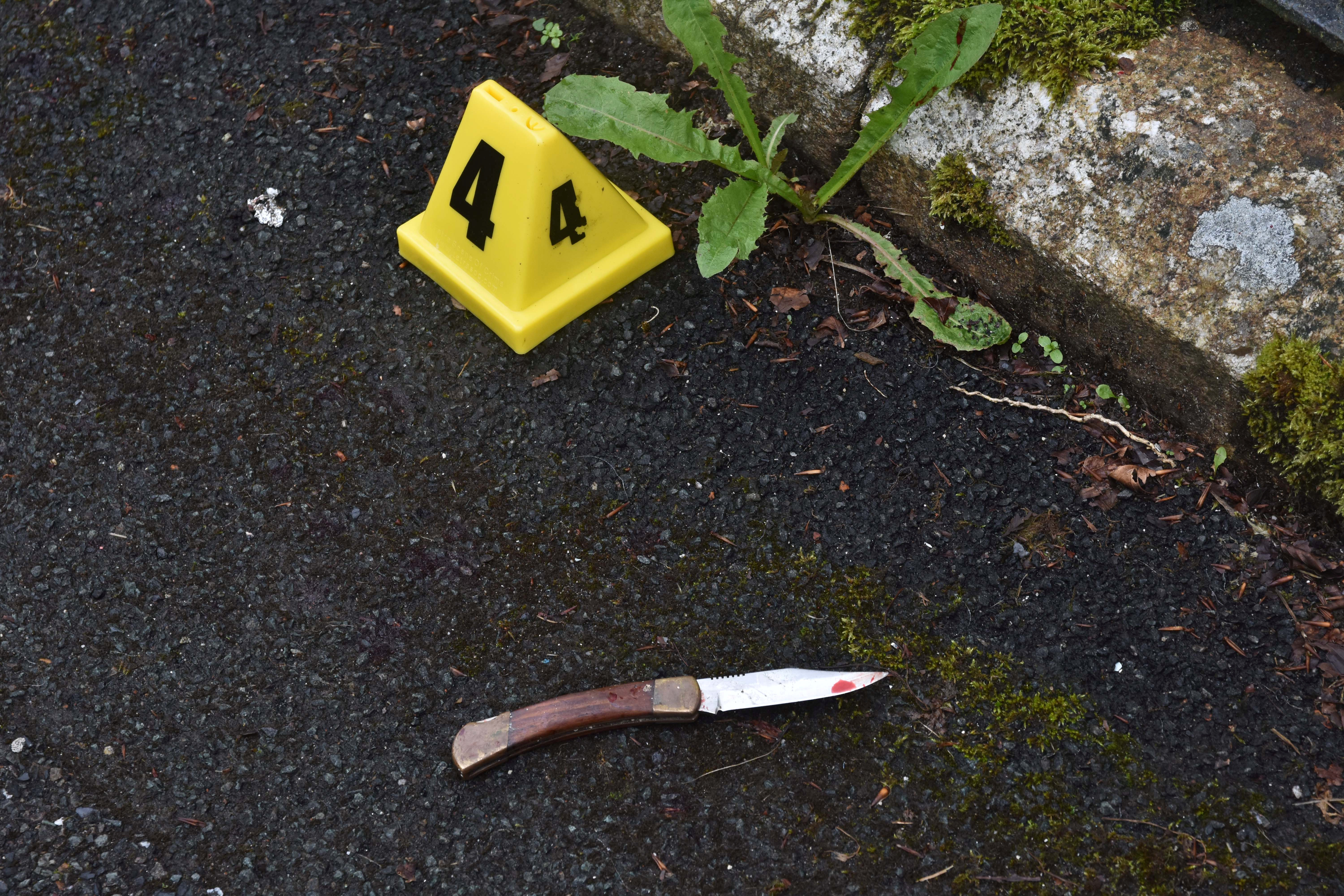 Ross’s blood stained knife. Sentencing, the judge said it had been a frenzied attack