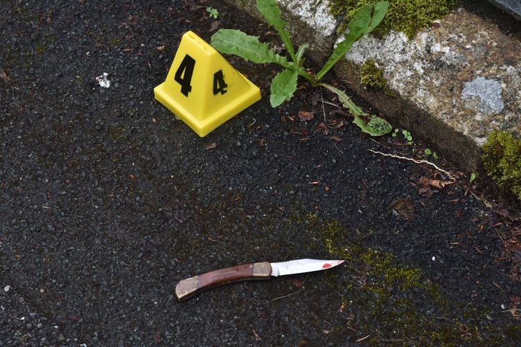 Ross’s blood stained knife. Sentencing, the judge said it had been a frenzied attack