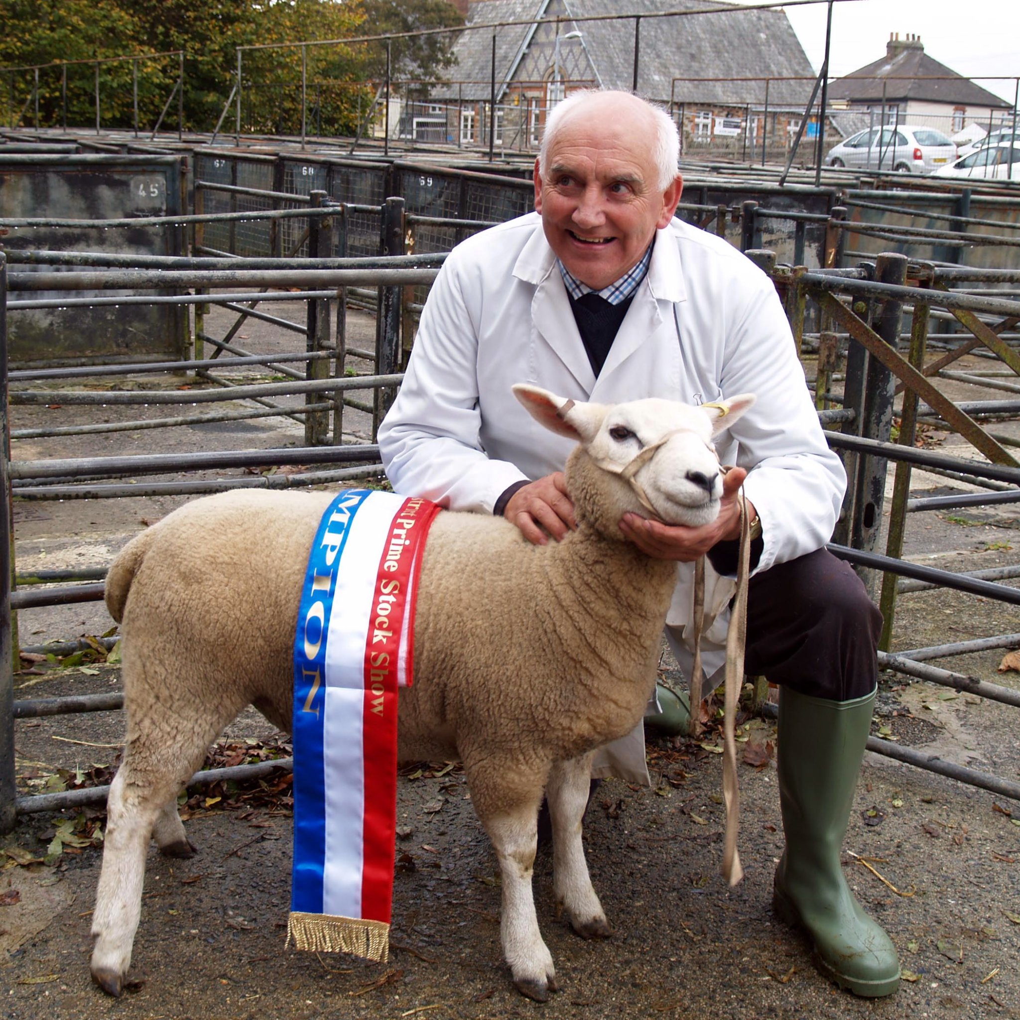 Liskeard prime stock show