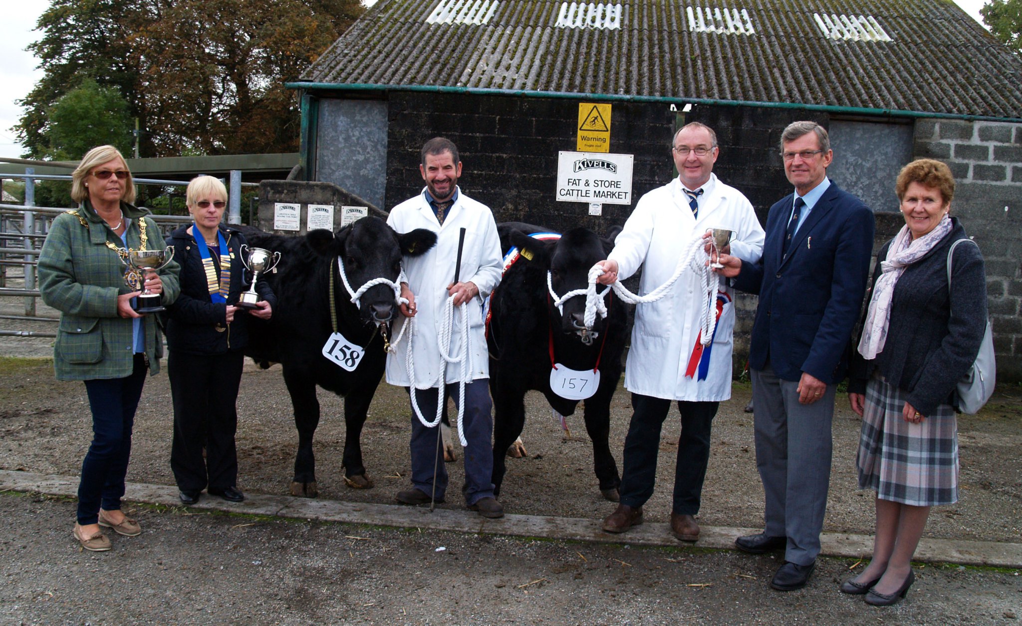 Liskeard prime stock show
