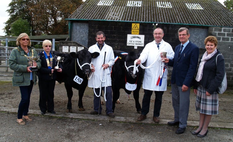 Liskeard prime stock show