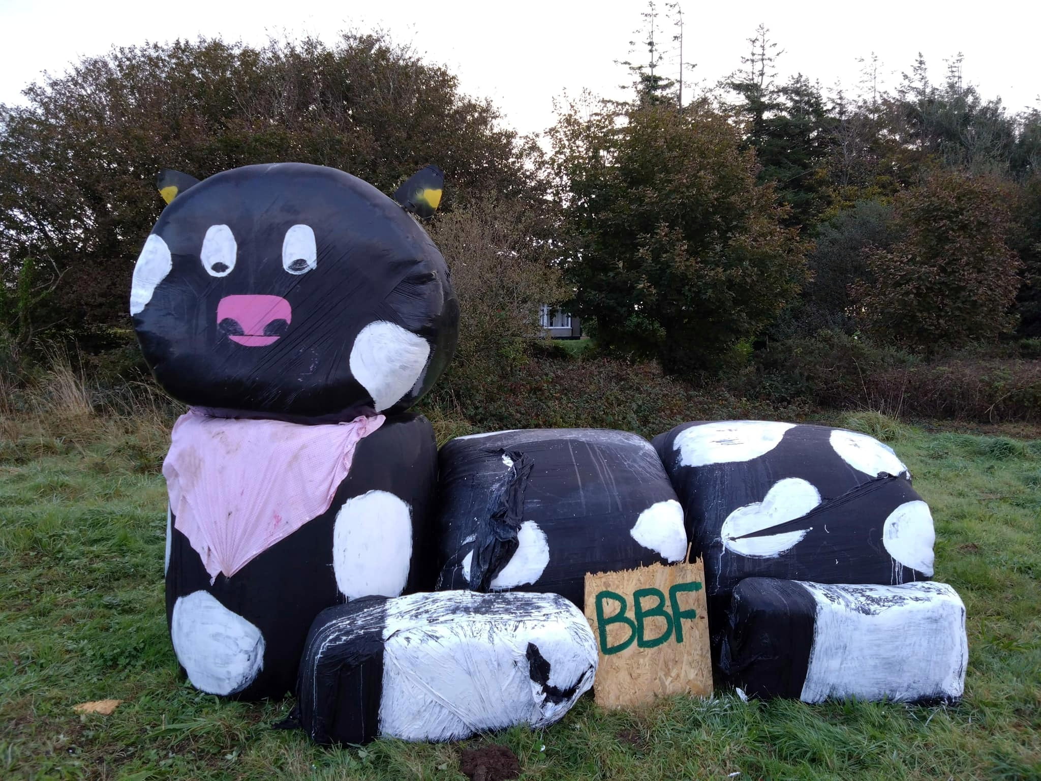 Callington young farmers Claudia the cow hay bale sculpture