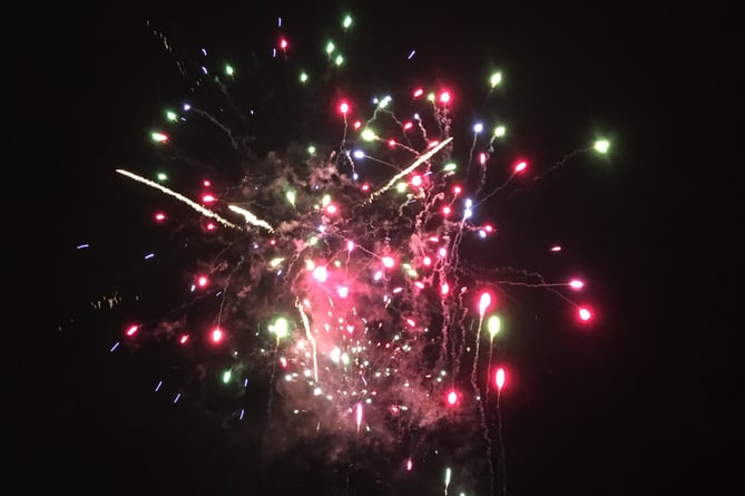 Farnham Fireworks and Torchlit Procession will return on Saturday, November 5