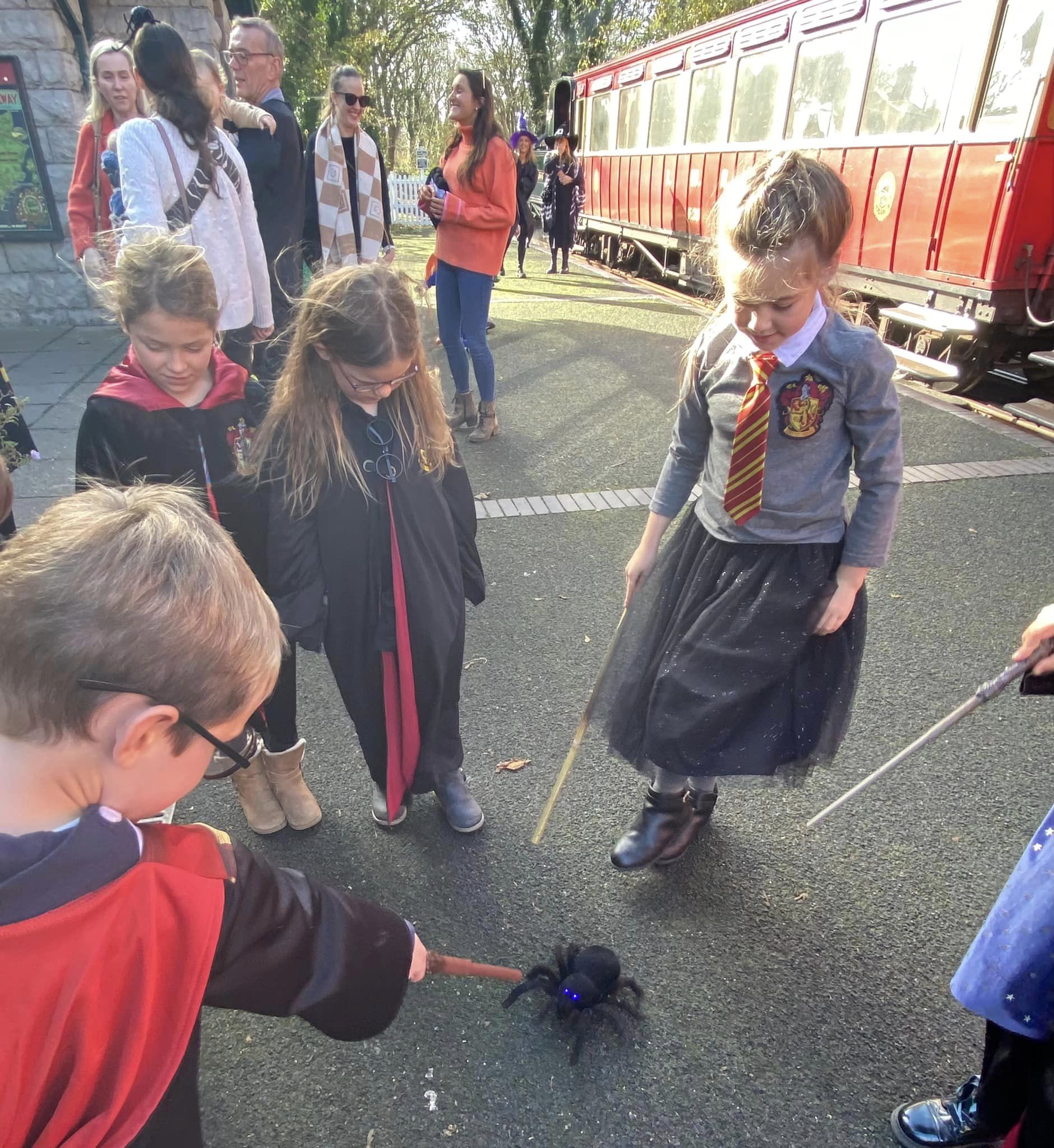 Wizard Express
