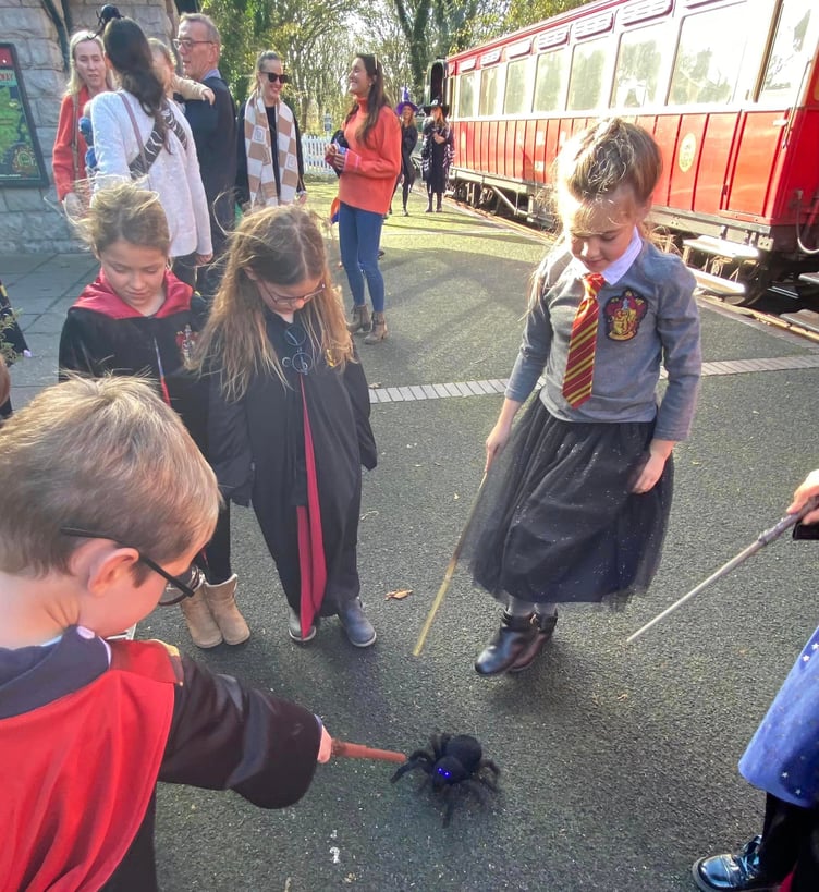 Wizard Express