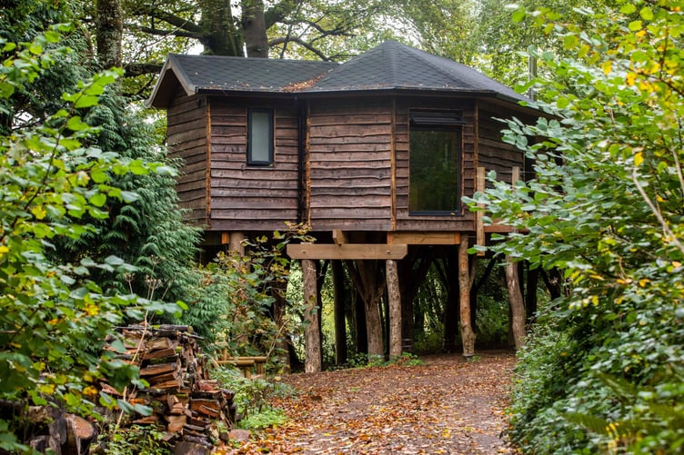 John Kitson, 42, of Looe in his treehouse