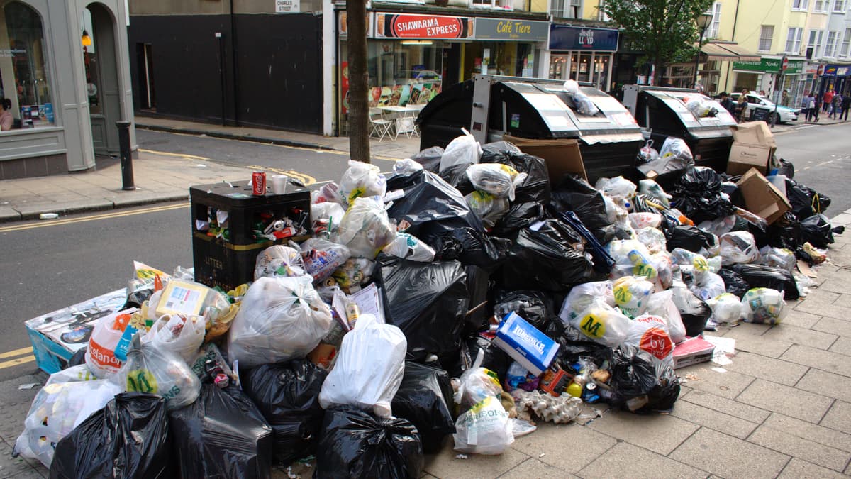 Bin strike Threeweek Waverley walkout begins after bin men reject