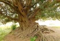 Hidden Surrey - Elstead and the surrounding areas