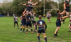 Rare defeat for Farnham Rugby Club