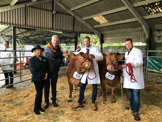 Supreme Champion with owner Oliver Penellum and Reserve Champion and owner Craig Penellum with The President Jane Pascoe and Sponsor of the class Paul Vincent of Vincent Tractors