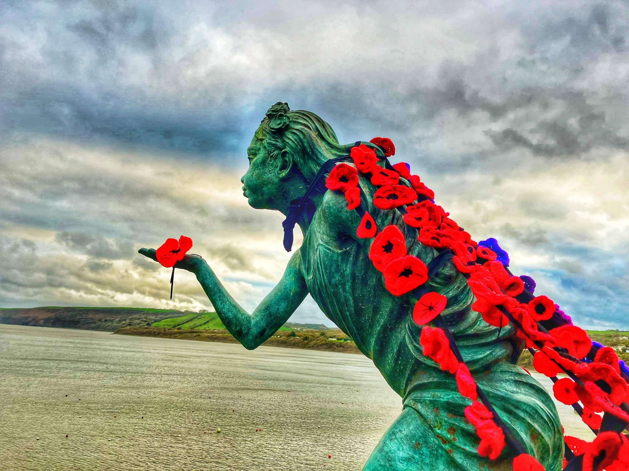 The Seaside Sisters WI group in New Quay spent months knitting, crocheting and sewing to create a beautiful Remembrance Day tribute