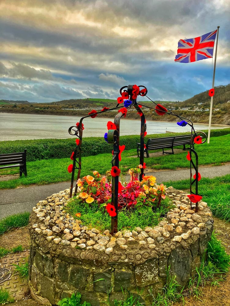 The Seaside Sisters WI group in New Quay spent months knitting, crocheting and sewing to create a beautiful Remembrance Day tribute