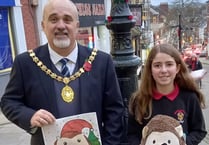 Hedgehog design chosen amongst raft of card entries