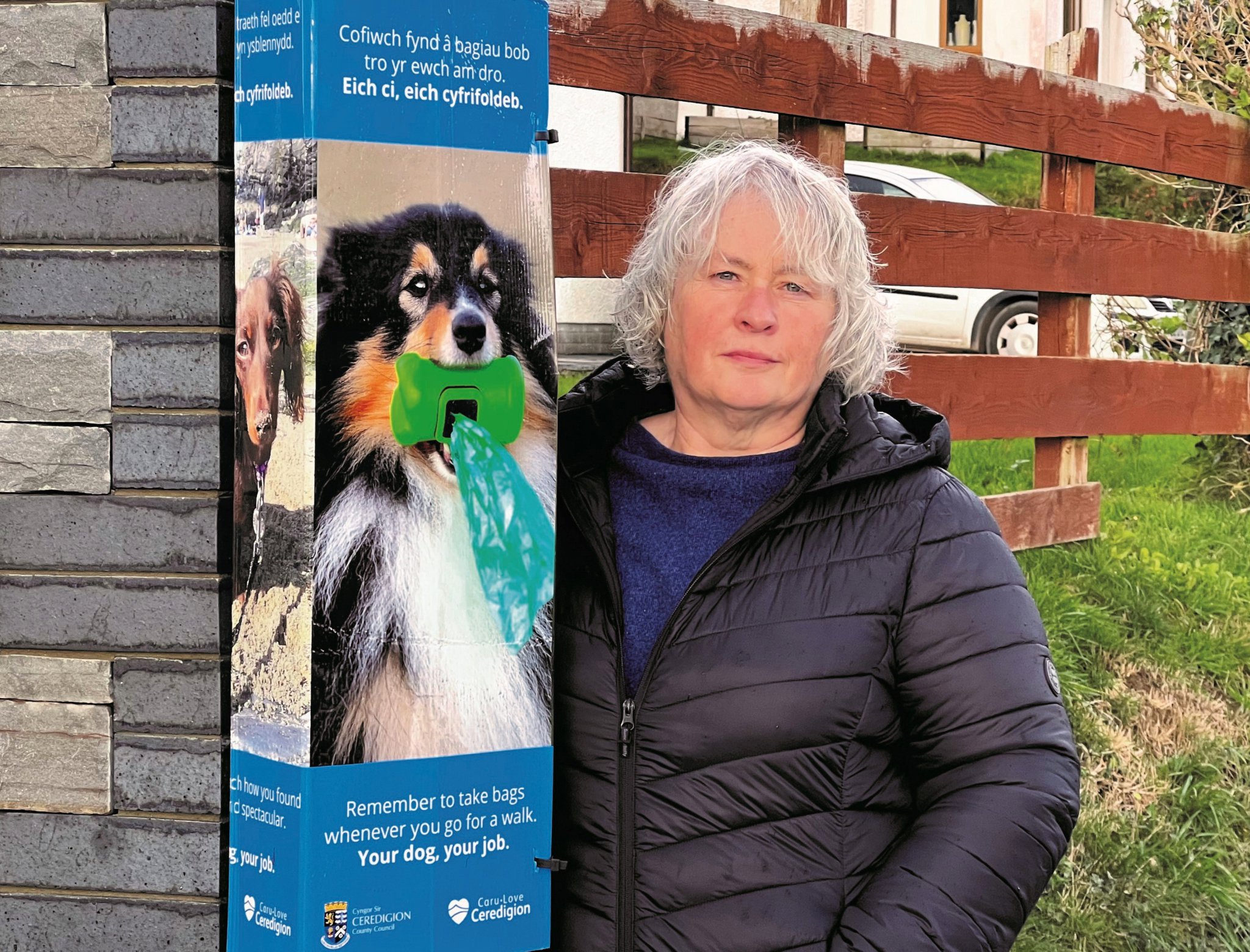 Cllr Catrin M S Davies and Cllr Keith Henson with the new posters