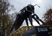 Police display says buzz off to gun violence