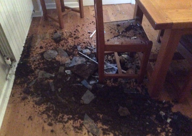 Gallery image 4