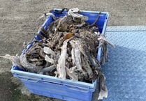 100 tonnes of rubbish in the sewage lines