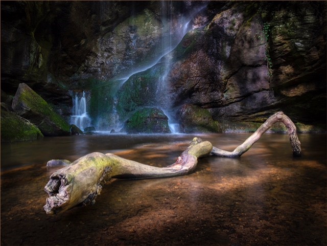 Fallen by John Ryland