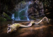 Over 70 entries in Ross Photo Club competition, themed ‘Water’