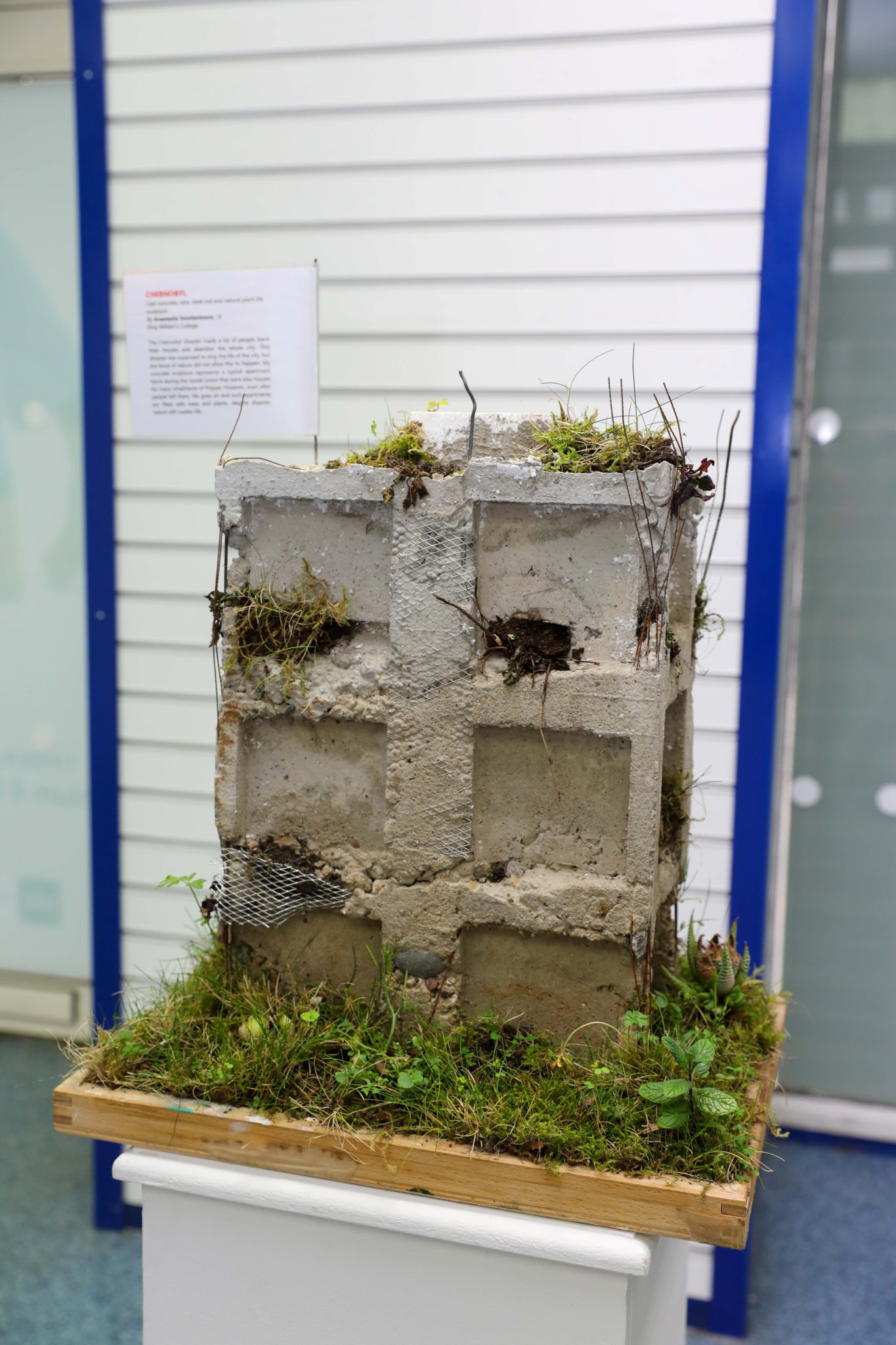The Sovereign Art Foundation Students Prize Isle of Man, Finalists' Exhibition. Photo by Callum Staley (CJS Photography).