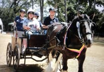 More opportunities to get disabled riders on ponies in Medstead