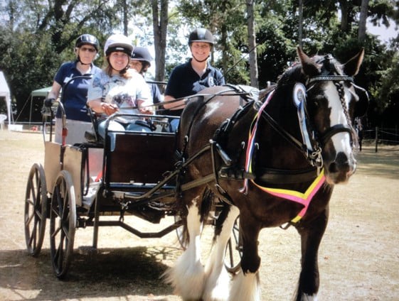Carriage driving with Broadlands Riding for the Disabled.