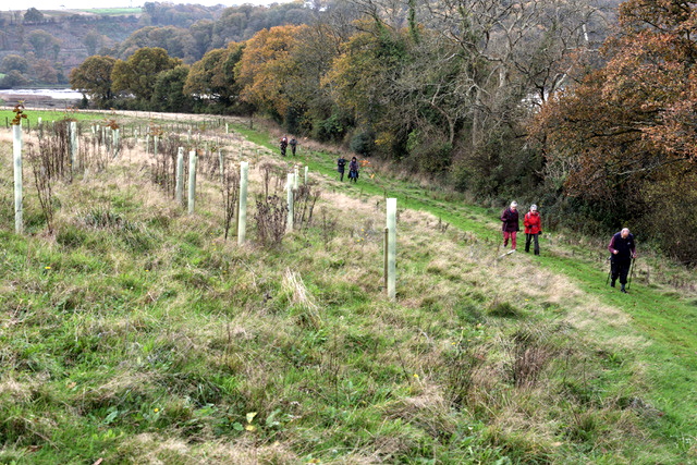 South Hooe Cottage Farm Nature Trail