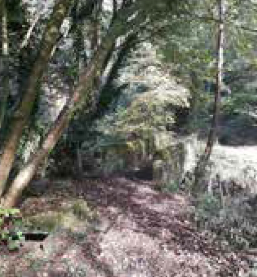 <p>The River Wey Aqueduct</p>