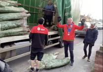 Charity Christmas trees delivered to your door by Farnham Round Table