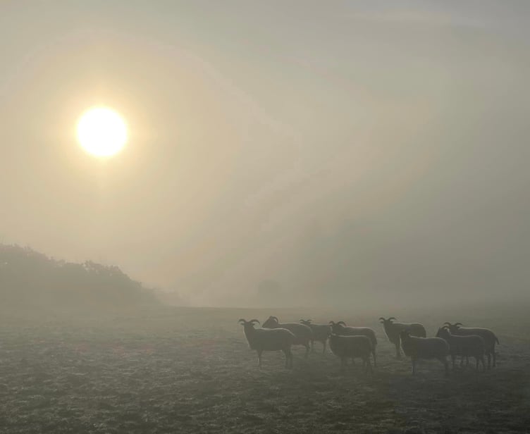 Bernadette Lacy was up to snap this serene photo on a misty morning