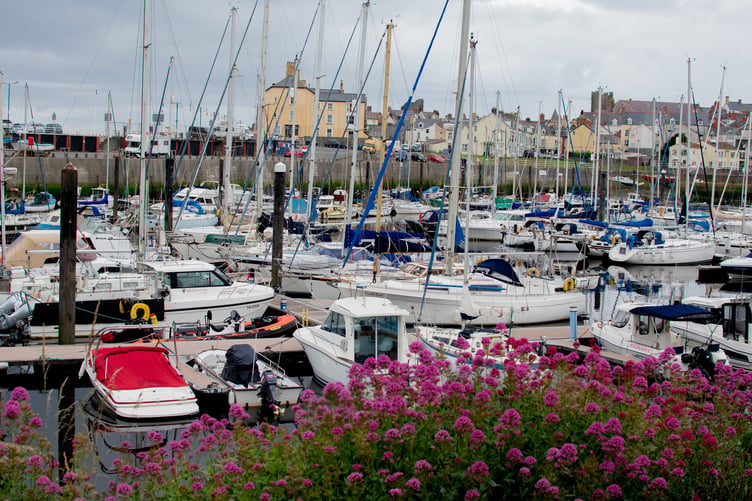 Charmaine Walters captured a busy Aberystwyth harbour