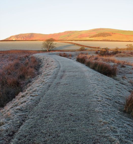 A frosty morning in the Dysynni Valley, taken by Margaret Pugnet