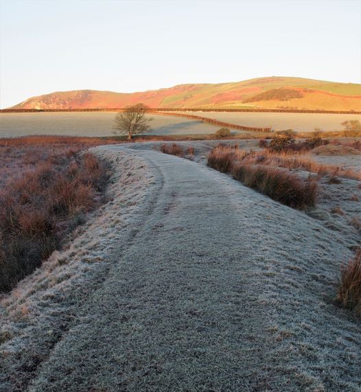 A frosty morning in the Dysynni Valley, taken by Margaret Pugnet