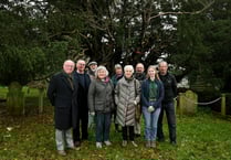 Very modern brace for 3,000-year-old yew tree in Farringdon