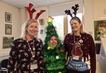 Living breathing Christmas tree causes stir in Tavi Library