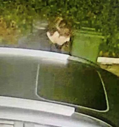 Surrey Police is appealing for the public's help in finding this man