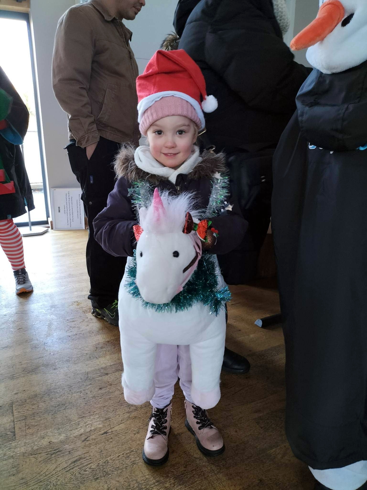Evie the Christmas unicorn
