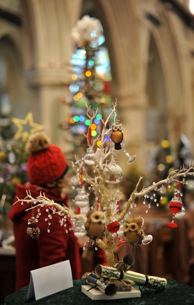 Photo: Steve Pope MDA071222D_SP008
Christmas tree festival at St Mary's Church, Kingskerswell