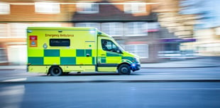Heart-attack and stroke victims in Waverley waiting over 30 minutes for help