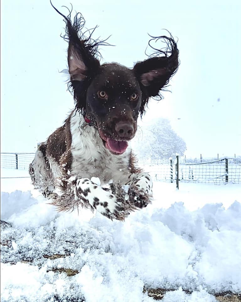 Thank you to all Gazette readers who sent us snowy photographs this week