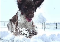 Readers' pictures of their fun in the snow