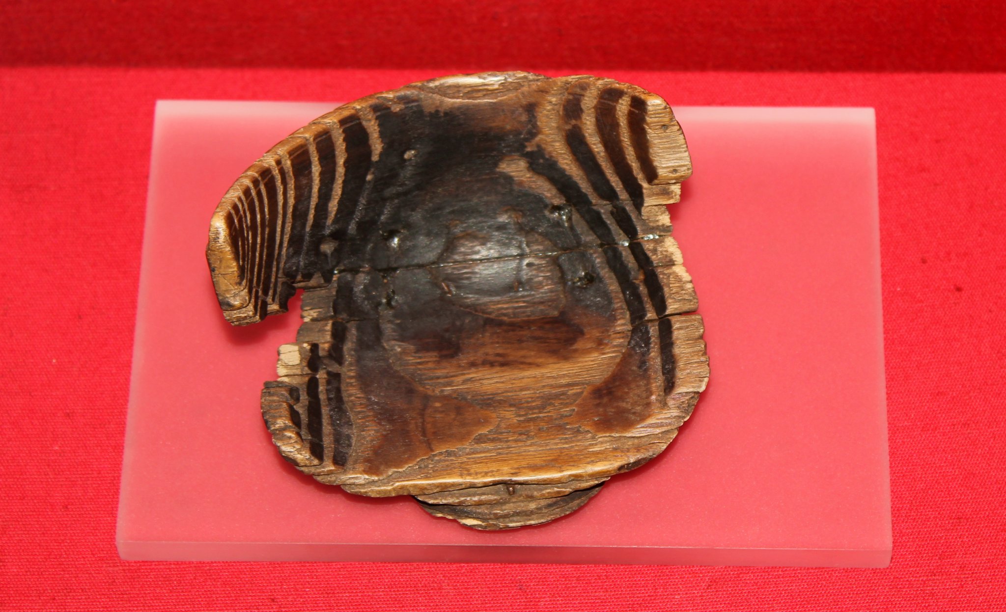 Gallery image 2