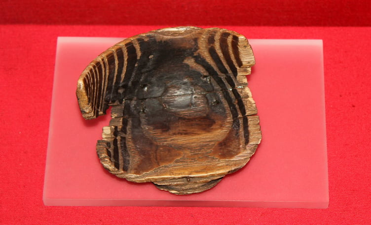 Gallery image 2