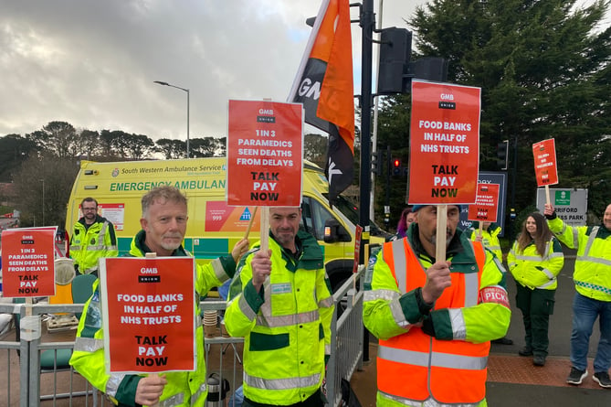 Paramedics and colleagues from South West Ambulance Service NHS Trust lobby support outside Derriford Hospital for their one-day strike today.